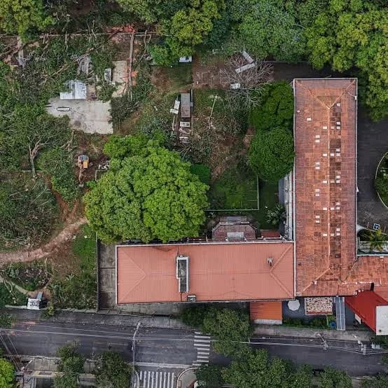 TJ-SP mantém autorização para obras no Bosque dos Salesianos