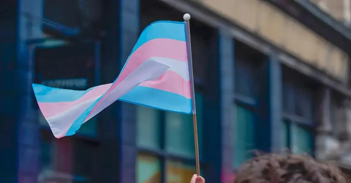 TSE vai analisar suposta fraude à cota de gênero em candidatura de homem trans